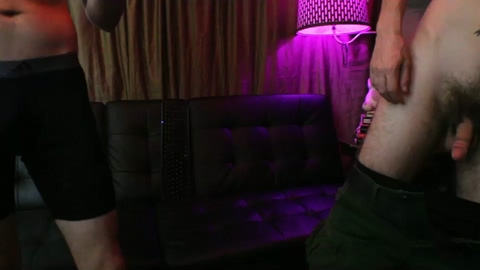 hollandhousestudios  17-01-2023